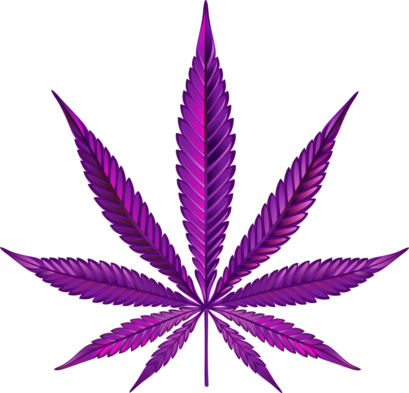 First Cannabis